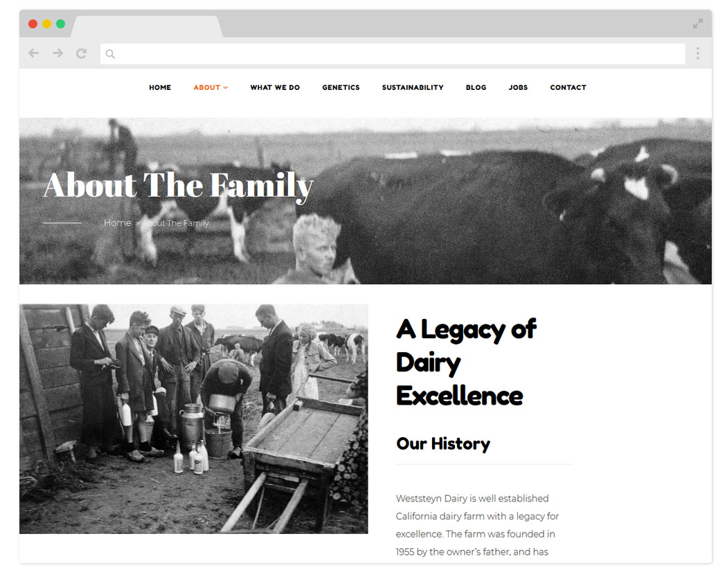 Weststeyn Dairy Website